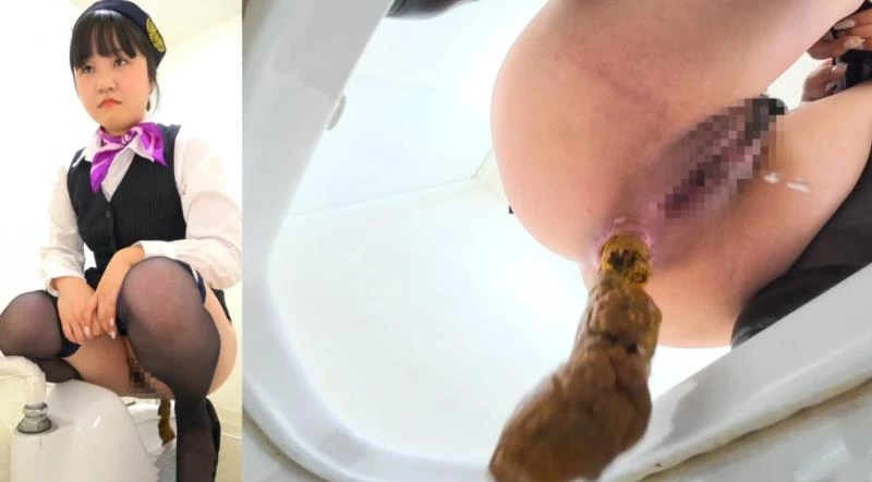 バスツアーガイドがうんちをする Bus Tour Guide Poops BFEE-294 [FullHD|2025]