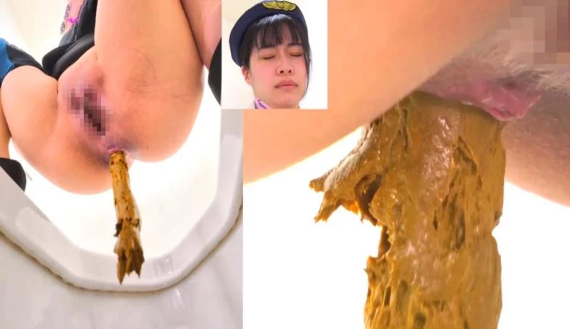 Long Shit on Western and Japanese Style Toilets BFEE-301 [FullHD|2025]