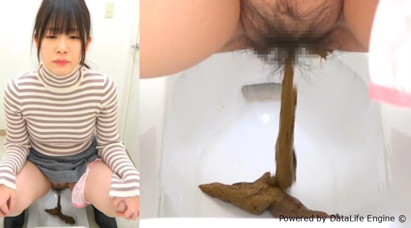 洋式トイレと和式トイレにウンコをする Farting and Shitting in the Toilet BFSR-704 [FullHD|2025]