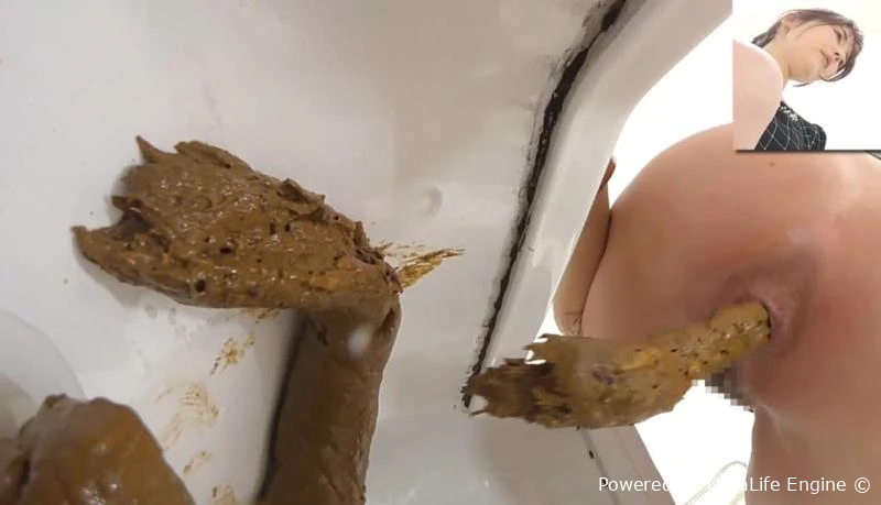 洋式トイレと和式トイレでウンコする Long Shit Japanese Toilets BFEE-320 [FullHD|2026]