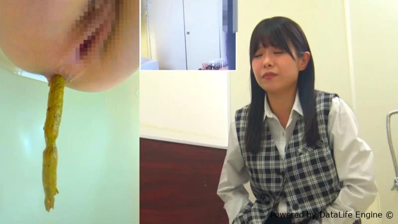 Defecating in the Toilet トイレで排便する BFSL-321 [FullHD|2026]